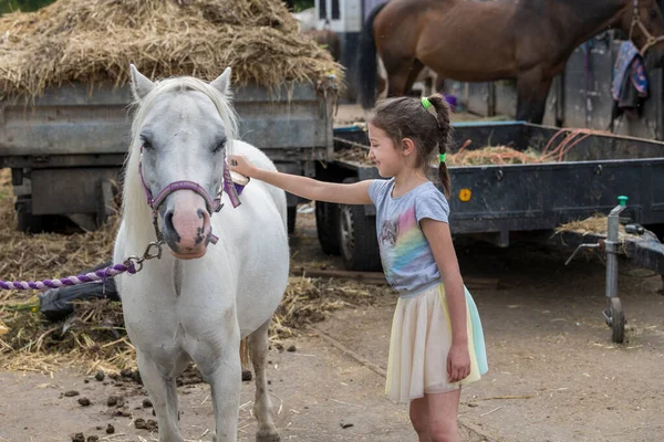 Gülümseyen güzel genç kız dışarıda çayırda çalı çırpıyla atı tımar ediyor.