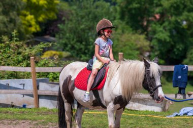 At biniciliği, güzel binicilik - genç kız ata biniyor