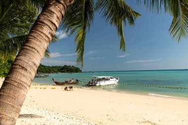 Berrak mavi sularda süzülen, canlı yemyeşil sularla çevrili, sakin bir sahil manzarası.