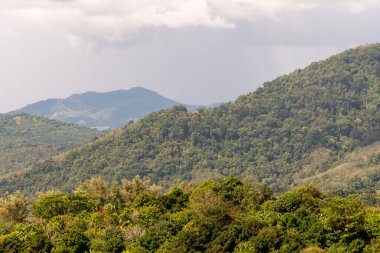 Bangkok yakınlarındaki Tayland 'da sık ormanlarla kaplı yemyeşil tropikal dağlar. Bulutlu gökyüzü, egzotik bitki örtüsü ve barışçıl çevresi olan doğal dağ manzarası. Seyahat, turizm ve doğa kavramları için mükemmel..