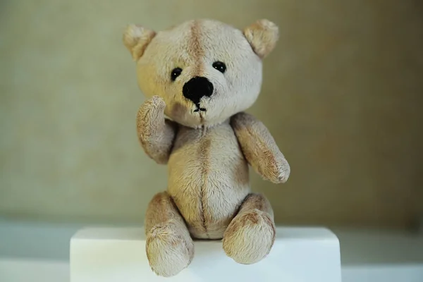 Ev yapımı oyuncak Teddy ayı bir kağıt podyum üzerinde oturan