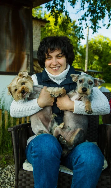 bir kadın bir bankta oturan ve iki küçük köpek tutarak