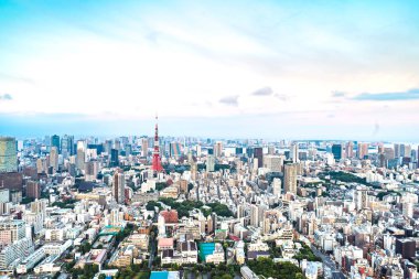 Tokyo Kulesi, Japonya - iletişim ve gözlem kulesi. Japonya en uzun yapay yapısında yeni Tokyo Skytree Japonya en yüksek bina olunca 2010 kadar öyleydi.
