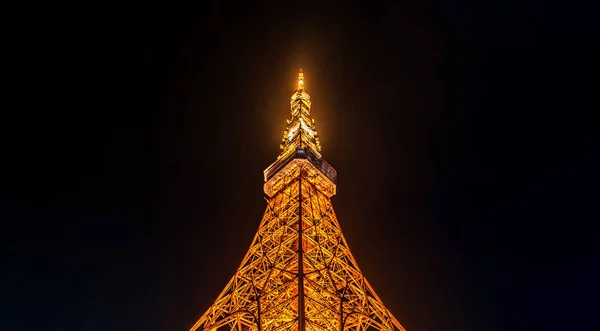 Bunter Tokyoturm Der Nacht Aus Dem Blickwinkel Des Aufstandes — Stockfoto