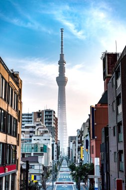 Kinshicho, Tokyo/Japonya - 22 Haziran 2018: Main Caddesi'ne Tokyo Skytree gündoğumu
