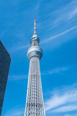 Tokyo, Japonya - 22 Haziran 2018: Tokyo Sky Ağaç ve mavi gökyüzü. Ağaç Gökyüzü Tokyo Tokyo ünlü dönüm noktası biridir. Ne zaman inşa dünyada en yüksek bir yapıdır.