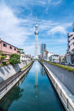 Tokyo, Japonya - 22 Haziran 2018: Tokyo Sky Tree, gün batımı ve mavi gökyüzü. Ağaç Gökyüzü Tokyo Tokyo ünlü dönüm noktası biridir. Ne zaman inşa dünyada en yüksek bir yapıdır.