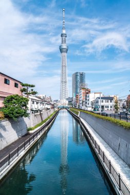 Tokyo, Japonya - 22 Haziran 2018: Tokyo Sky Tree, gün batımı ve mavi gökyüzü. Ağaç Gökyüzü Tokyo Tokyo ünlü dönüm noktası biridir. Ne zaman inşa dünyada en yüksek bir yapıdır.