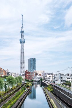Tokyo, Japonya - 22 Haziran 2018: Tokyo Sky Tree, gün batımı ve mavi gökyüzü. Ağaç Gökyüzü Tokyo Tokyo ünlü dönüm noktası biridir. Ne zaman inşa dünyada en yüksek bir yapıdır.