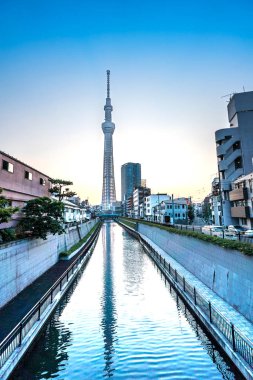 Tokyo, Japonya - 22 Haziran 2018: Tokyo Sky Tree, gün batımı ve mavi gökyüzü. Ağaç Gökyüzü Tokyo Tokyo ünlü dönüm noktası biridir. Ne zaman inşa dünyada en yüksek bir yapıdır.