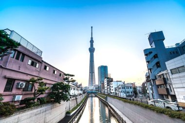 Tokyo, Japonya - 22 Haziran 2018: Tokyo Sky Tree, gün batımı ve mavi gökyüzü. Ağaç Gökyüzü Tokyo Tokyo ünlü dönüm noktası biridir. Ne zaman inşa dünyada en yüksek bir yapıdır.