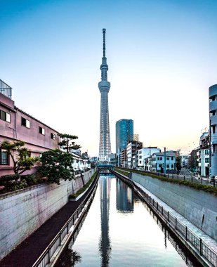 Tokyo, Japonya - 22 Haziran 2018: Tokyo Sky Tree, gün batımı ve mavi gökyüzü. Ağaç Gökyüzü Tokyo Tokyo ünlü dönüm noktası biridir. Ne zaman inşa dünyada en yüksek bir yapıdır.