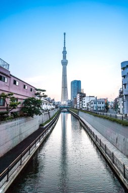 Tokyo, Japonya - 22 Haziran 2018: Tokyo Sky Tree, gün batımı ve mavi gökyüzü. Ağaç Gökyüzü Tokyo Tokyo ünlü dönüm noktası biridir. Ne zaman inşa dünyada en yüksek bir yapıdır.