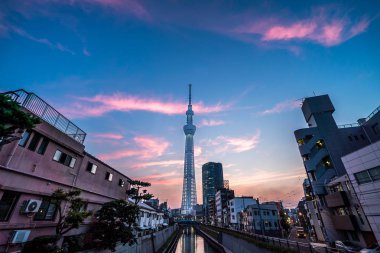 Tokyo, Japonya - 22 Haziran 2018: Tokyo Sky Tree, gün batımı ve mavi gökyüzü. Ağaç Gökyüzü Tokyo Tokyo ünlü dönüm noktası biridir. Ne zaman inşa dünyada en yüksek bir yapıdır.