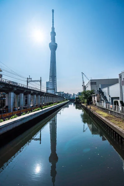 Tokyo, Japonya - 22 Haziran 2018: Tokyo Sky Ağaç ve mavi gökyüzü. Ağaç Gökyüzü Tokyo Tokyo ünlü dönüm noktası biridir. Ne zaman inşa dünyada en yüksek bir yapıdır.