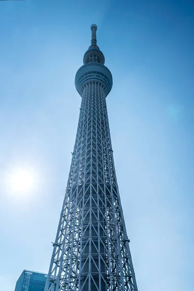 Tokio Japan Juni 2018 Tokyo Himmelsbaum Und Blauer Himmel Tokyo — Stockfoto