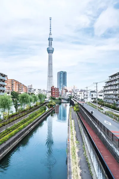 Tokyo, Japonya - 22 Haziran 2018: Tokyo Sky Tree, gün batımı ve mavi gökyüzü. Ağaç Gökyüzü Tokyo Tokyo ünlü dönüm noktası biridir. Ne zaman inşa dünyada en yüksek bir yapıdır.