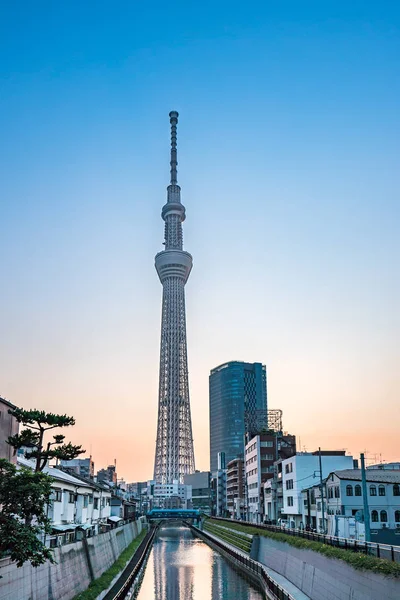 Tokyo, Japonya - 22 Haziran 2018: Tokyo Sky Tree, gün batımı ve mavi gökyüzü. Ağaç Gökyüzü Tokyo Tokyo ünlü dönüm noktası biridir. Ne zaman inşa dünyada en yüksek bir yapıdır.