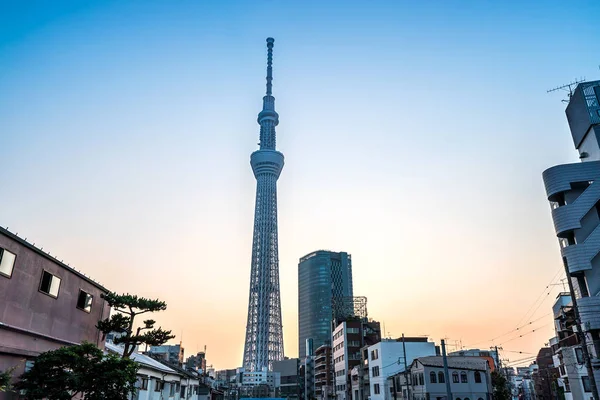 Tokyo, Japonya - 22 Haziran 2018: Tokyo Sky Tree, gün batımı ve mavi gökyüzü. Ağaç Gökyüzü Tokyo Tokyo ünlü dönüm noktası biridir. Ne zaman inşa dünyada en yüksek bir yapıdır.