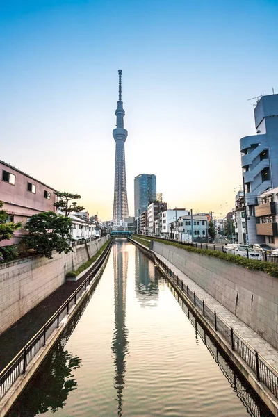 Tokyo, Japonya - 22 Haziran 2018: Tokyo Sky Tree, gün batımı ve mavi gökyüzü. Ağaç Gökyüzü Tokyo Tokyo ünlü dönüm noktası biridir. Ne zaman inşa dünyada en yüksek bir yapıdır.
