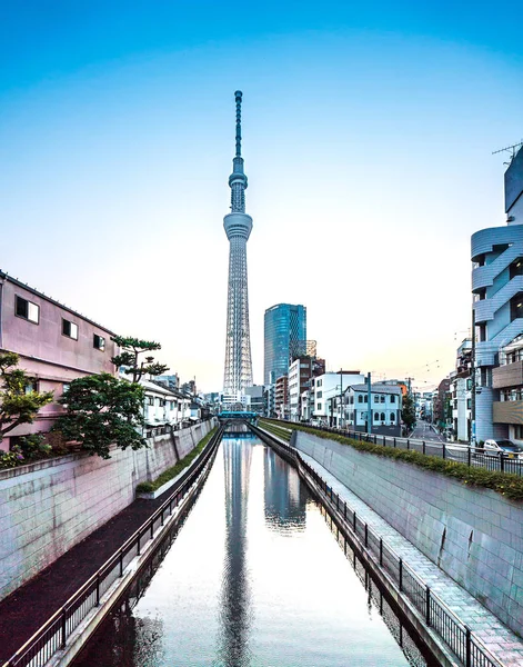 Tokyo, Japonya - 22 Haziran 2018: Tokyo Sky Tree, gün batımı ve mavi gökyüzü. Ağaç Gökyüzü Tokyo Tokyo ünlü dönüm noktası biridir. Ne zaman inşa dünyada en yüksek bir yapıdır.