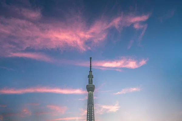 Tokyo Japan June 2018 Part Japan Tokyo Skytree Tower Building — Stock Photo, Image