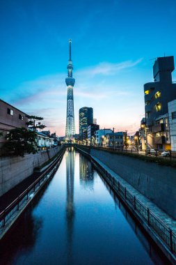 Tokyo, Japonya - 22 Haziran 2018: Tokyo Skytree, Sumida Ward kentsel gece sahne. Tokyo Skytree Kulesi kanalın üzerine düşünceler. Ağaç Gökyüzü Tokyo Tokyo ünlü dönüm noktası biridir.