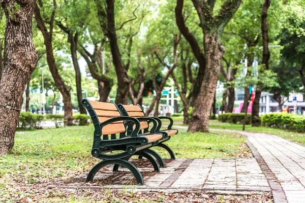 Park, Park, bir sandalye rahatlatıcı, Dunhua Road, Taipei Banyan ağaçları. duygu sakin