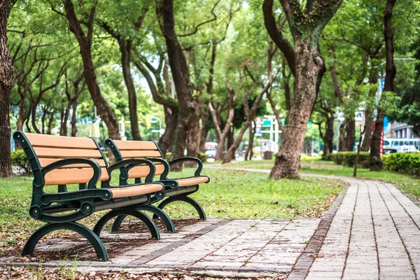 Park, Park, bir sandalye rahatlatıcı, Dunhua Road, Taipei Banyan ağaçları. duygu sakin