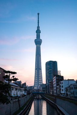 Tokyo, Japonya - 22 Haziran 2018: Tokyo Skytree. Skytree olarak kabul edilir ikinci dünyanın en yüksek yapısı.