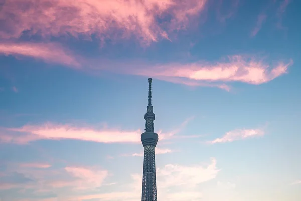 Tokyo Japonya Haziran 2018 Tokyo Skytree Skytree Olarak Kabul Edilir — Stok fotoğraf