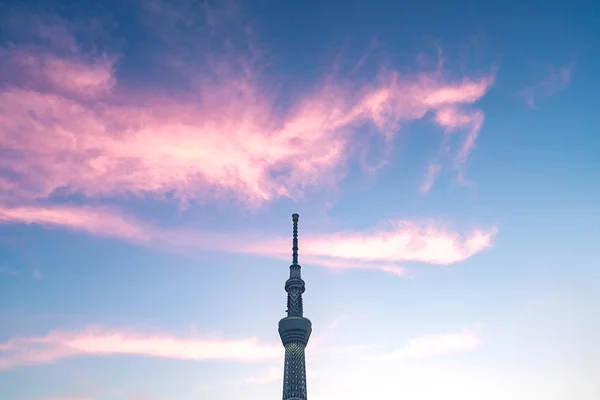 Токио Япония Июня 2018 Года Tokyo Skytree Skytree Считается Вторым — стоковое фото