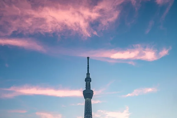 Токио Япония Июня 2018 Года Tokyo Skytree Skytree Считается Вторым — стоковое фото