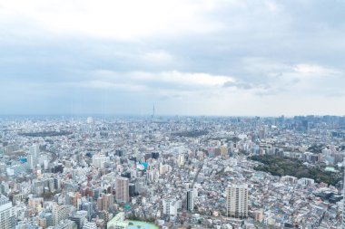 Tokyo, Japonya - 28 Mart 2019: Tokyo, Japonya 'da Ikebukuro' nun panoramik modern şehir gökyüzü manzaralı emlak ve şirket inşaatı için Asya iş konsepti