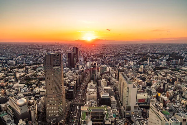 日本东京 2019年11月16日 Shibuya Scramble广场于2019年11月在日本东京的Shibuya开幕 石谷天空 可在离地面229米的地方俯瞰全景 — 图库照片