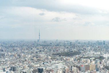 Tokyo, Japonya - 28 Mart 2019: Tokyo, Japonya 'da Ikebukuro' nun panoramik modern şehir gökyüzü manzaralı emlak ve şirket inşaatı için Asya iş konsepti