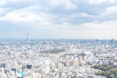 Tokyo, Japonya - 28 Mart 2019: Tokyo, Japonya 'da Ikebukuro' nun panoramik modern şehir gökyüzü manzaralı emlak ve şirket inşaatı için Asya iş konsepti