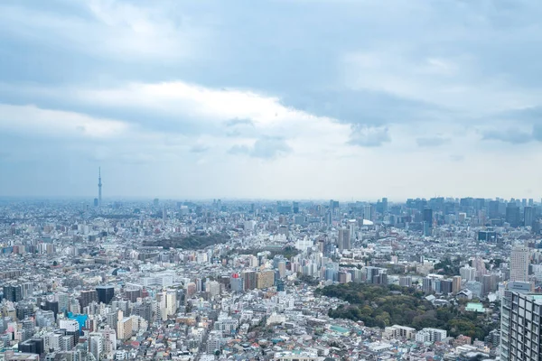 Tokyo, Japonya - 28 Mart 2019: Tokyo, Japonya 'da Ikebukuro' nun panoramik modern şehir gökyüzü manzaralı emlak ve şirket inşaatı için Asya iş konsepti