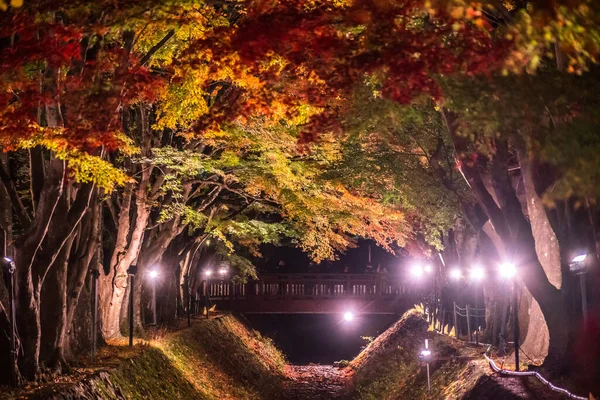 日本の河口湖に隣接する富士河口湖で 秋のカラフルな木々の夜の展示 — ストック写真