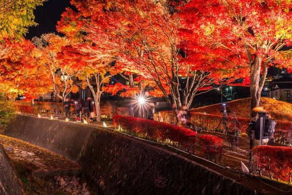 日本の河口湖に隣接する富士河口湖で 秋のカラフルな木々の夜の展示 — ストック写真