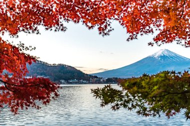Japonya 'nın Fuji Dağı' ndaki renkli sonbahar - Kawaguchiko Gölü Fuji Dağı 'nın akçaağaç yapraklarından oluşan Fuji Dağı manzarasının tadını çıkarmak için en iyi yerlerden biridir..