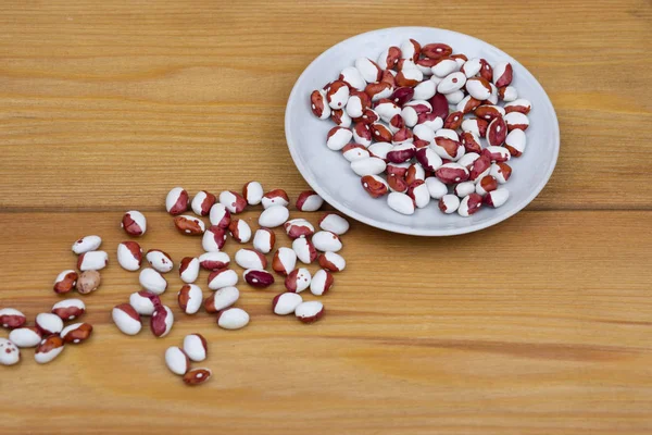 fasulye bir daire ve masanın üzerine dağılmış