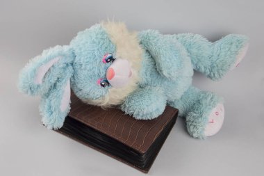 Mavi tavşan ve albüm fotoğraflar için. Yumuşak oyuncak mavi. Fotoğraf albümü. Paskalya. Ev temizleme. Çocukluk