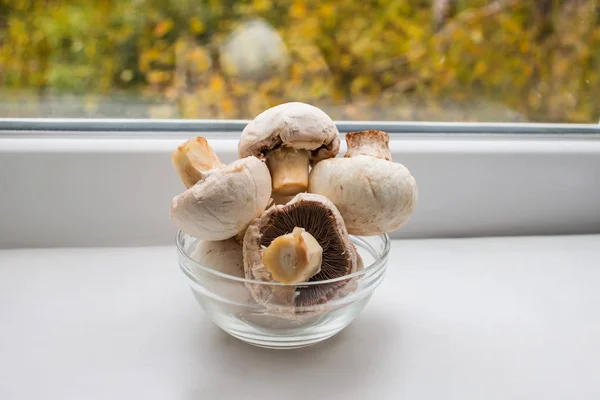 Parçalarhalinde doğranmış champignons. beyaz bir arka plan üzerinde mantar. Mantarlı taze champignons. Pişirme için mantar pişirme.