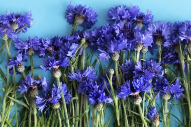 Mavi zemin üzerine Peygamber 