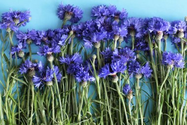 Mavi zemin üzerine Peygamber buket 