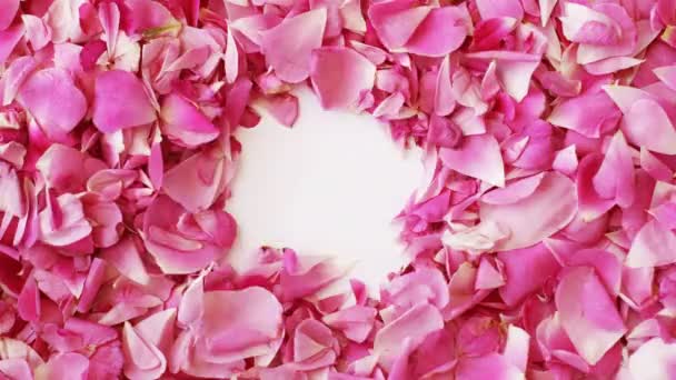 Pink Rose Petals Make Heart Shape Valentines Day Stop Motion — Stock Video