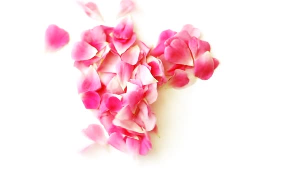Coeur Pétales Rose Soufflé Vent Sur Fond Blanc — Video