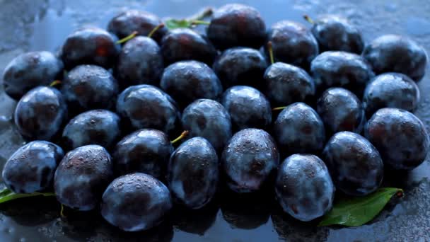 Frische Reife Pflaumen Mit Wasser Besprüht — Stockvideo