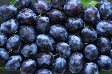 Arka plan olarak kullanılan su ile püskürtülür olgun taze erik